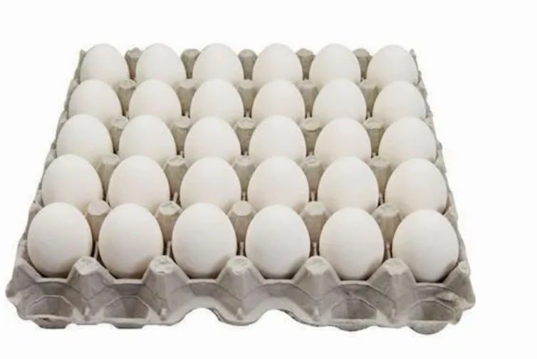 Tray of white table eggs